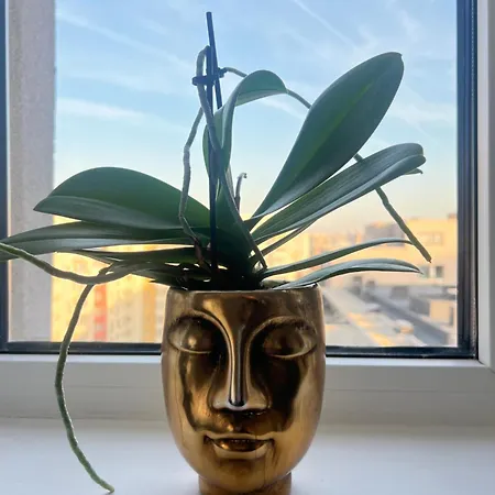 דירה C-entral With Private Parking