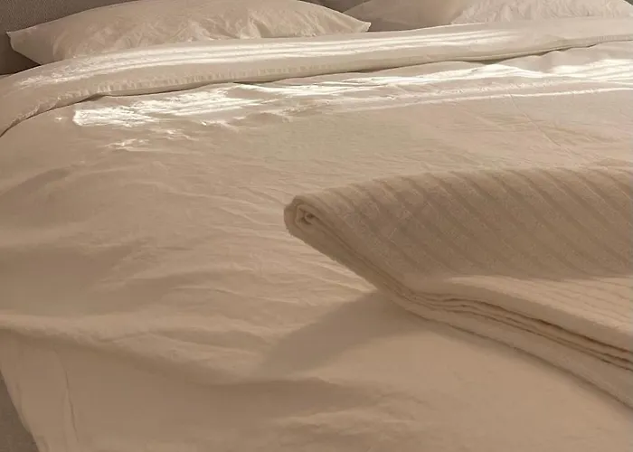 公寓 C-entral With Private Parking 布加勒斯特