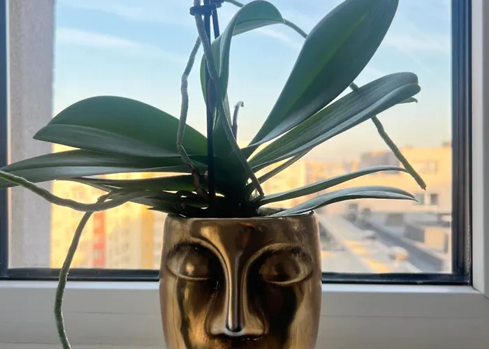 דירה C-entral With Private Parking